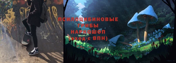 ПСИЛОЦИБИНОВЫЕ ГРИБЫ Протвино