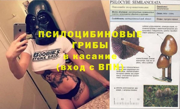 a pvp Пролетарск
