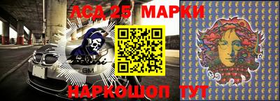 apvp Можга