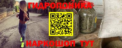 apvp Можга