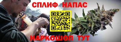 apvp Можга