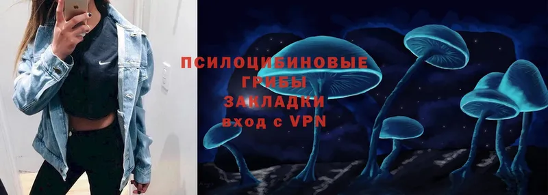 продажа наркотиков  KRAKEN зеркало  Псилоцибиновые грибы мицелий  Алапаевск 