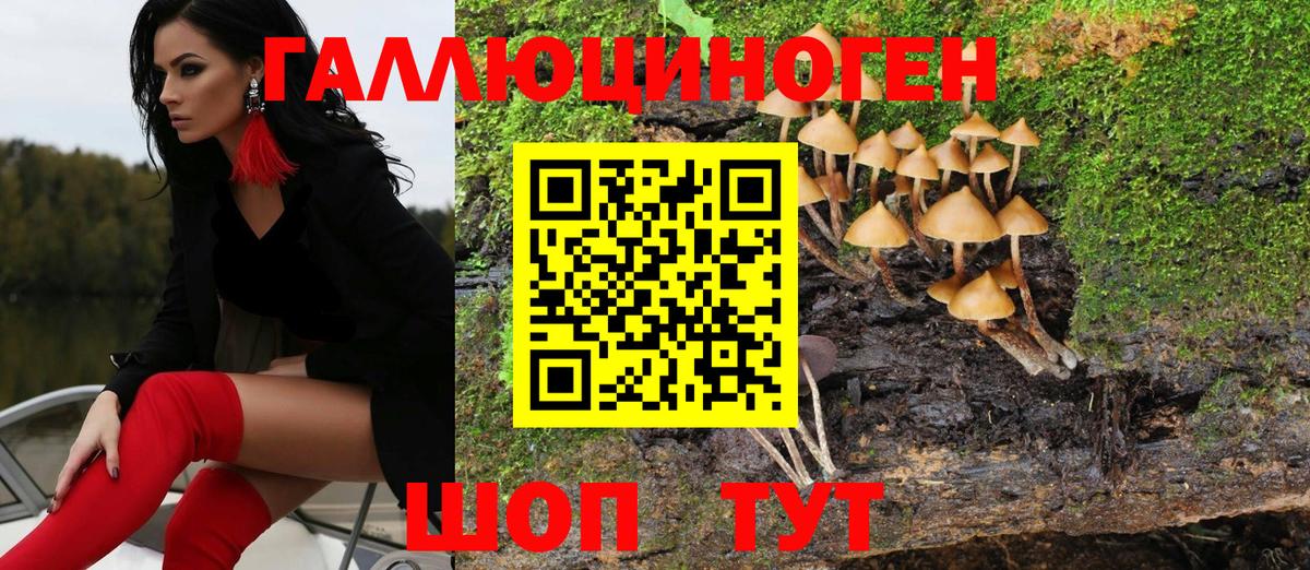 Галлюциногенные грибы GOLDEN TEACHER Алапаевск