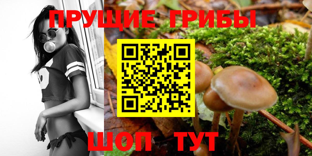 Галлюциногенные грибы Magic Shrooms  Псилоцибиновые грибы GOLDEN TEACHER  Алапаевск  Вход с VPN 