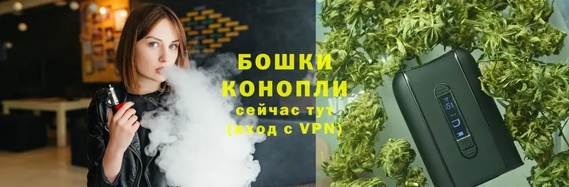 Марихуана план  Алапаевск 